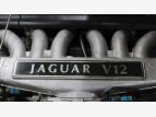 Thumbnail Photo 51 for 1994 Jaguar XJS